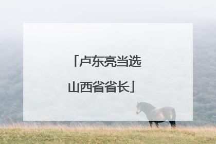 卢东亮当选山西省省长